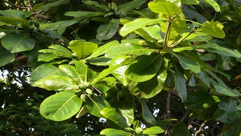 A3 cam nhan thang 5.jpg