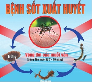 A Sot xuat huyet.jpg