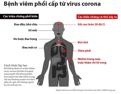y te lợi.jpg